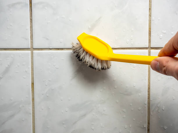Best Certified Mold Removal  in Lake Mack Forest Hills, FL